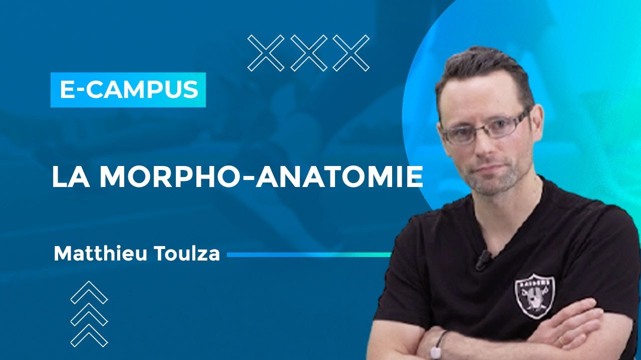 La Morpho-anatomie