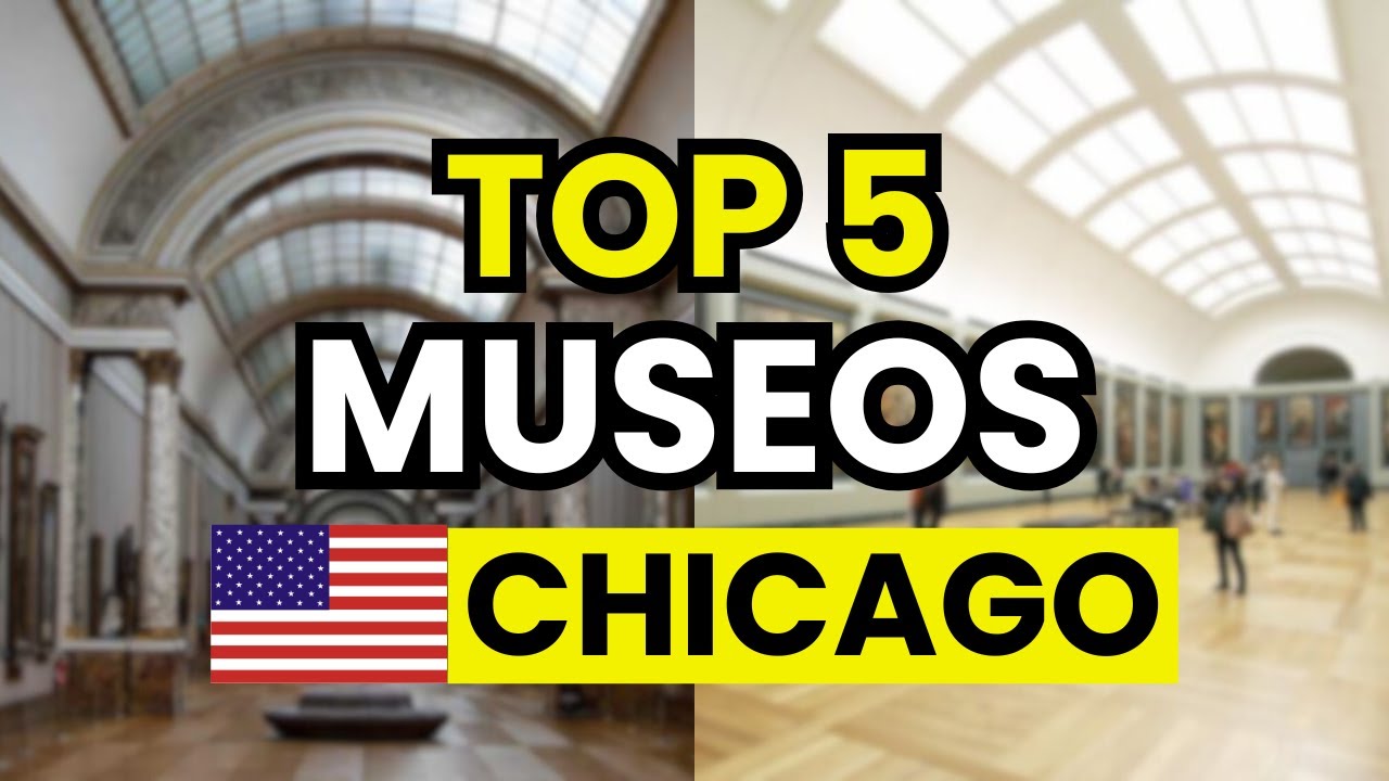 🥇 5 Mejores Museos para Visitar en Chicago (USA)