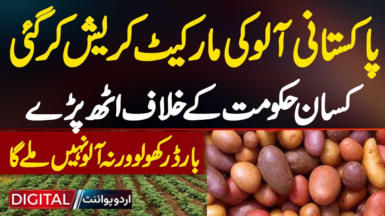 Pakistani Potato Market Crashed - Farmer Protests Against The Government, Demanding Border Openings
