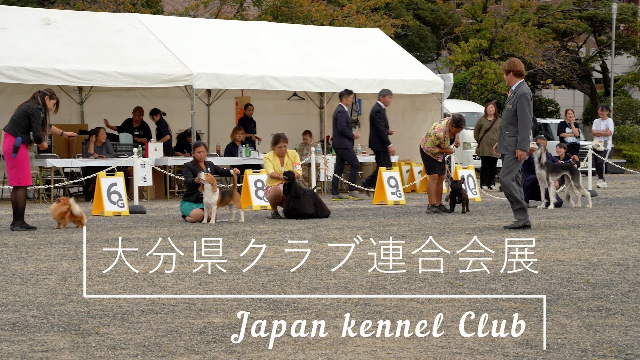 JKC大分県クラブ連合会展2024