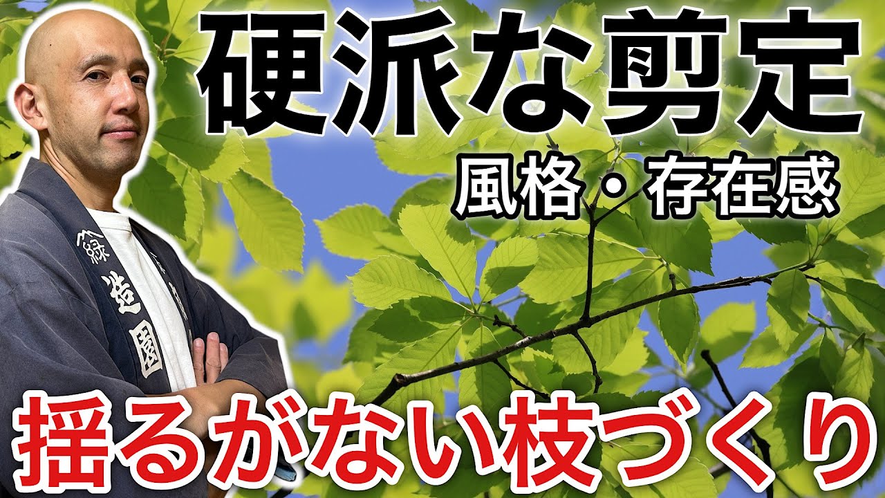 【雑木の魅力を出す剪定】 個性を引き出すコナラ剪定の考え方を解説