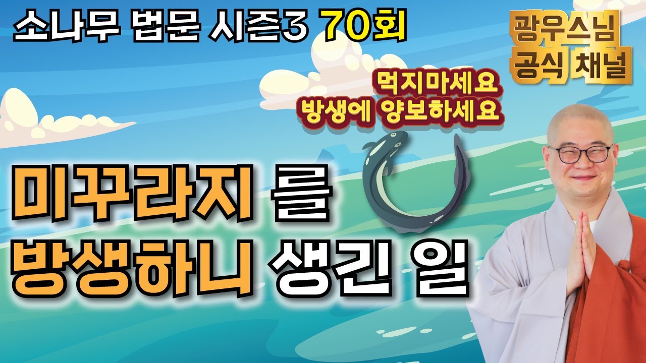 방생 가피 이야기 | 광우스님 소나무 법문시즌3 70회