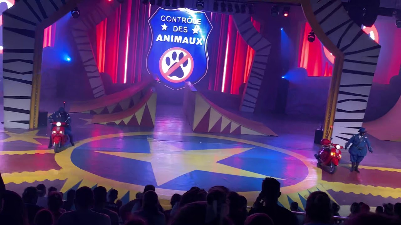 O controle de animais no show do Madagascar