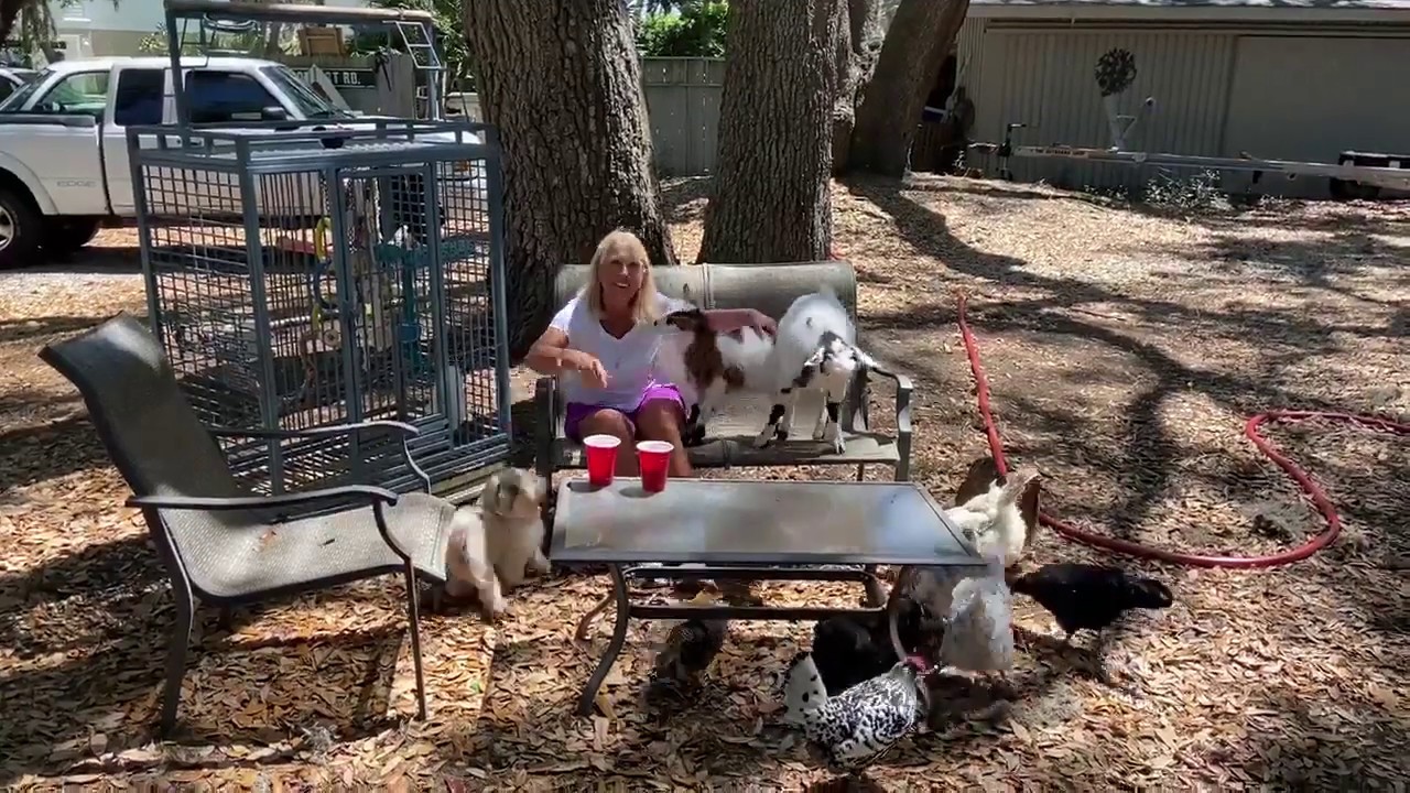Practicing Self Care with Dr. Debi Lynes and her Animals