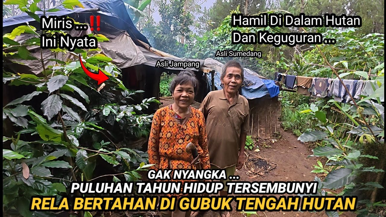 MUSTAHIL BISA BERTAHAN HIDUP TINGGAL DI RUMAH GUBUK PALING UNIK DAN ANEH DiHUTAN JAWA BARAT