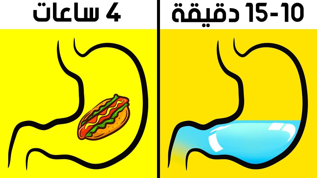 هل بإمكانك شرب الماء أثناء تناول الطعام؟