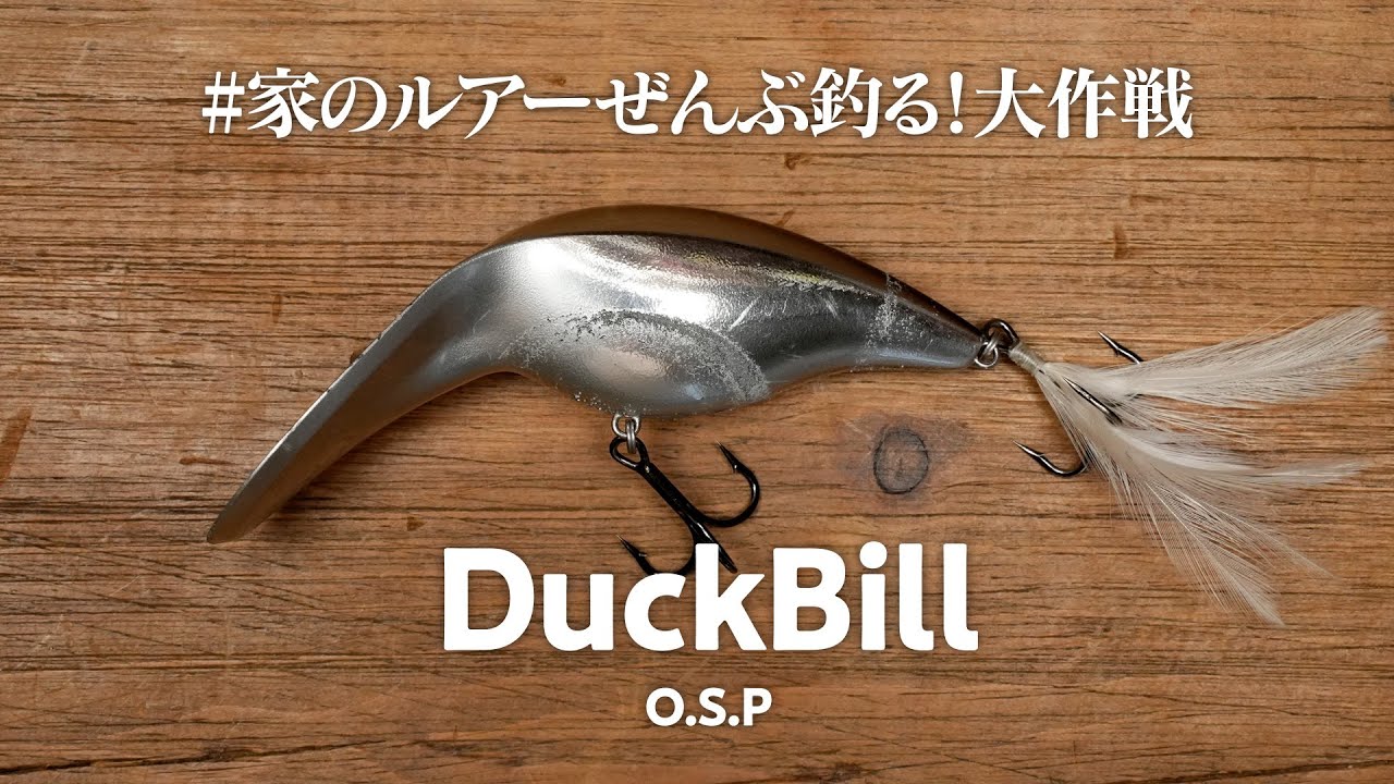 O.S.Pのダックビル「コレはエグい...」ルアーパワーありすぎ問題【水中アクション映像有り】 #家のルアーぜんぶ釣る大作戦 / 0010