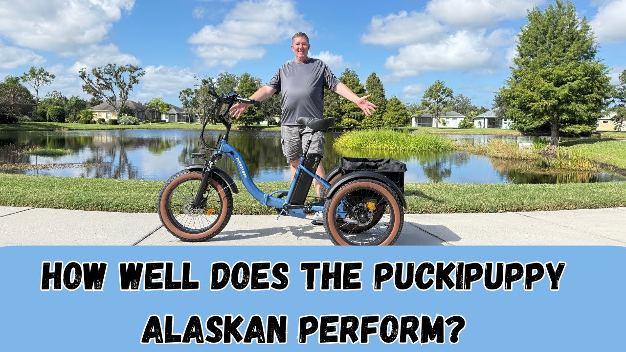 Каковы РЕАЛЬНЫЕ характеристики Alaskan eTrike на тротуарах и дорогах?