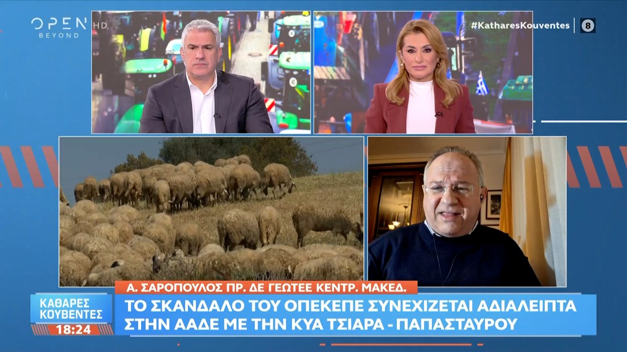 Ο Αθανάσιος Σαρόπουλος καλεσμένος στις «Καθαρές κουβέντες» | Ethnos