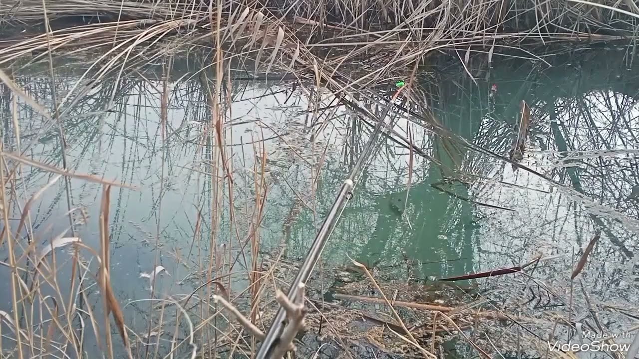 XALI BUNDAQANGI KARAS OV BO'LMAGAN