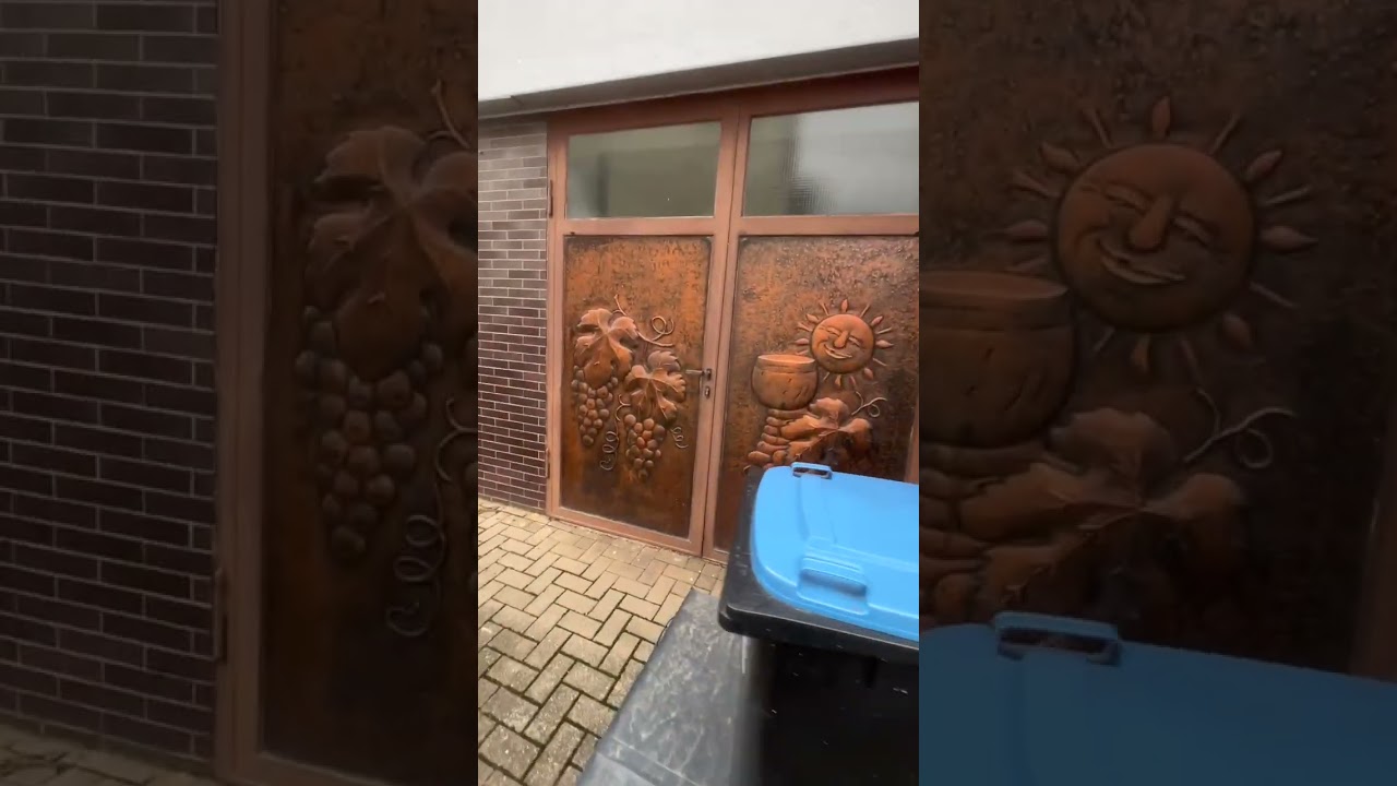 百去不厌的摩泽尔河谷，这个秋天我又来了，就是今天有点冷 #摩泽尔河谷 #德国自驾游 #白葡萄酒 #雷司令葡萄酒 #德国乡村小镇