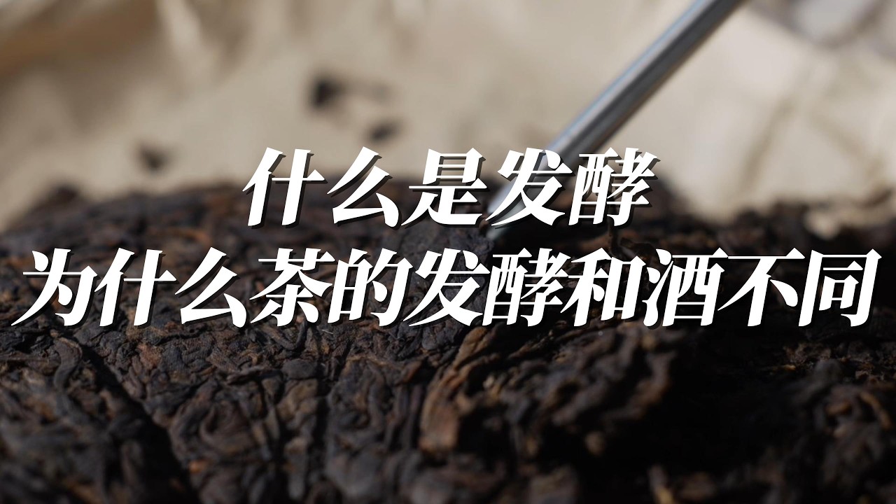 被骗了上百年？茶叶根本没有“发酵”！揭开茶与酒的本质区别