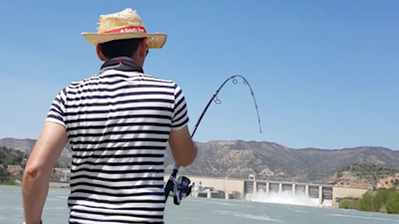 Panic Brothers - Ebro Spin Fishing April 2018