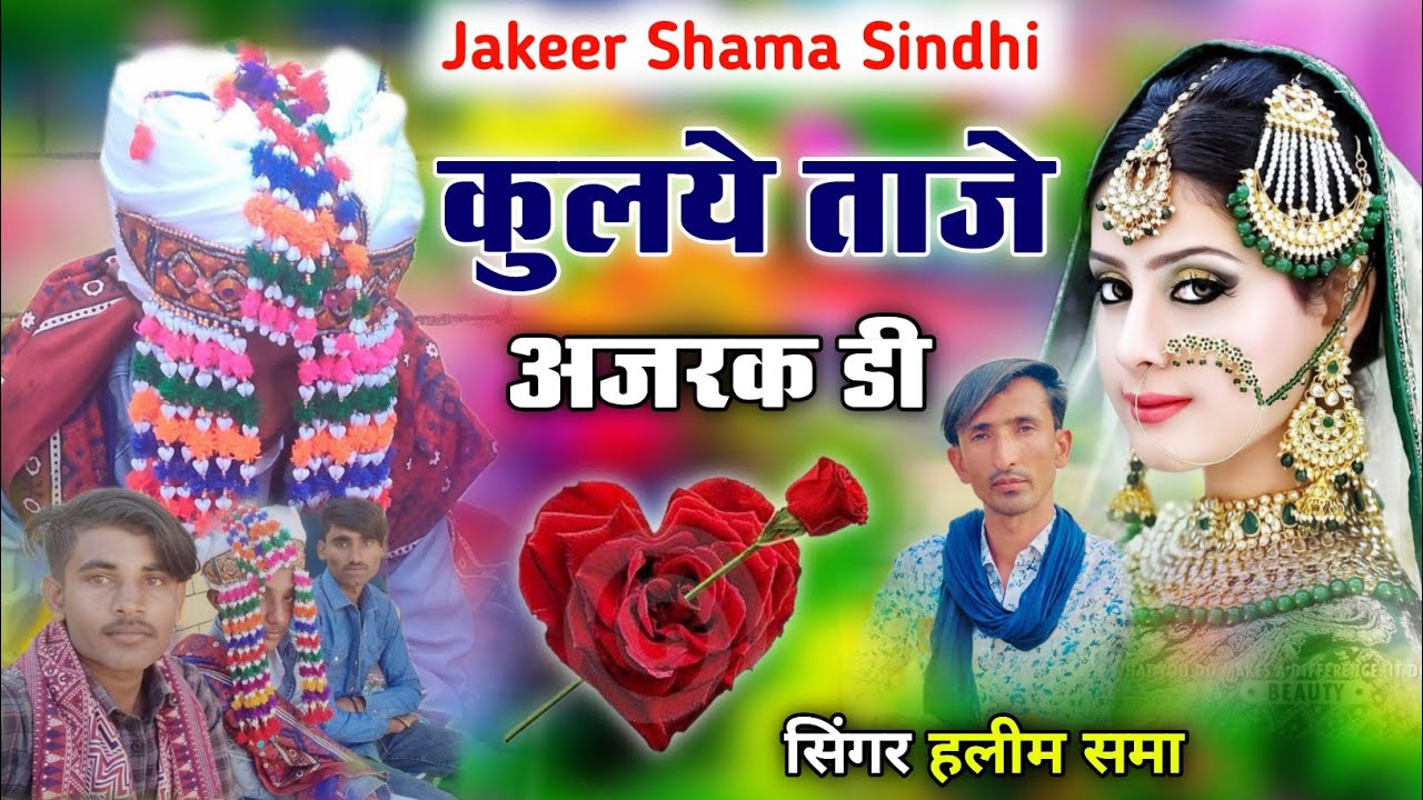 //कुलये ताजे अजरक डी// न्यू वायरल सोंग//सिंगर हलीम समा शादी सोंग//singer haleem Shama New Song 