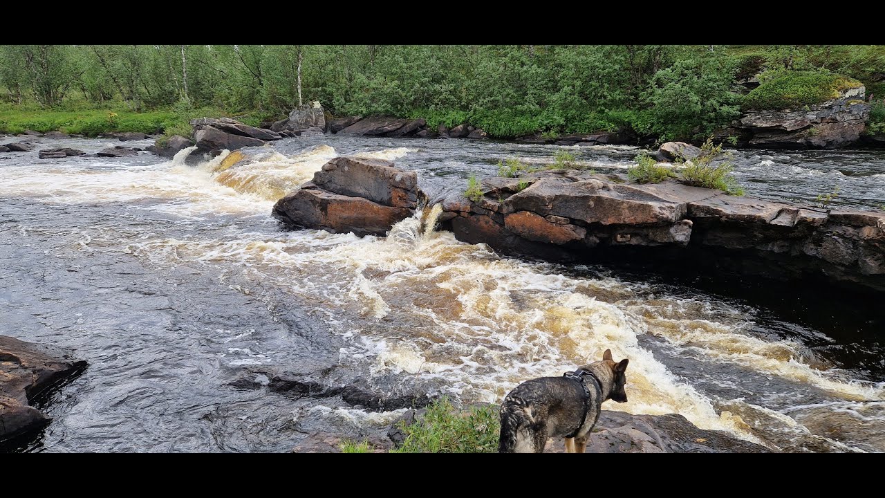 Pöyrisjoen packraftvaellus elokuu 2025  osa1/2