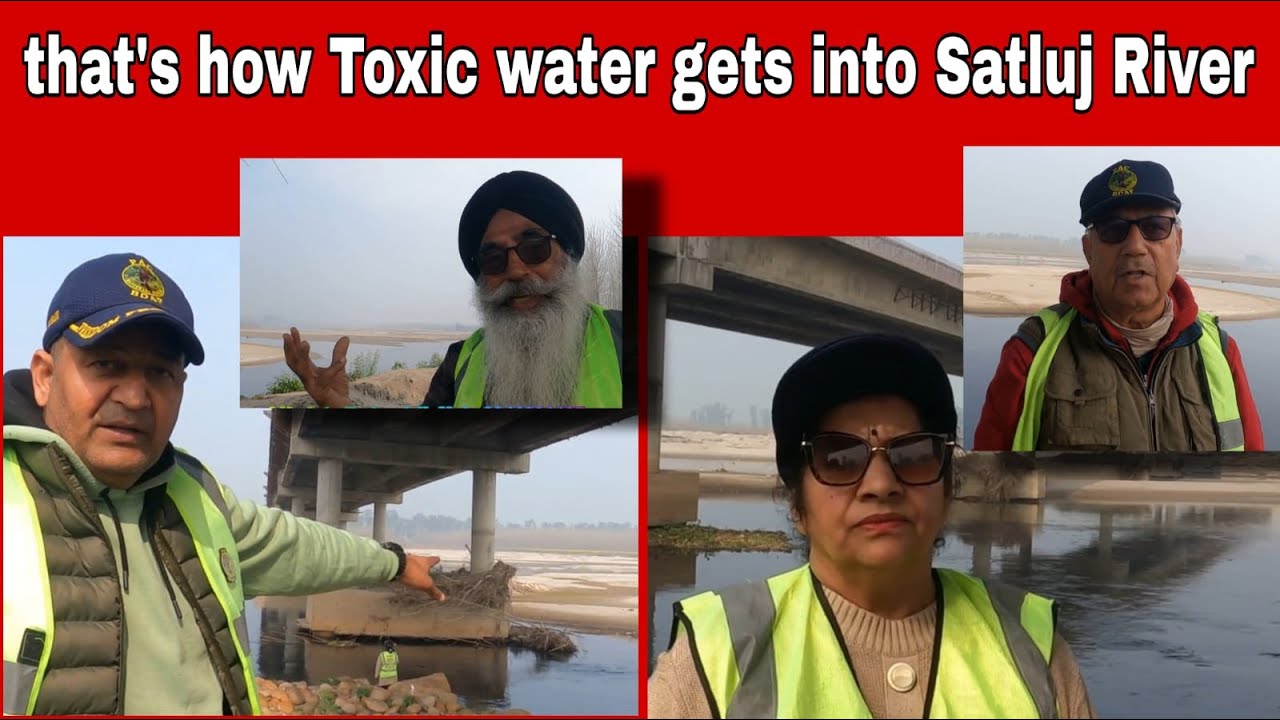 कहाँ केमिकल वाल काला जेह्रीला पानी मिलता है सतलुज दरिया में BUDDHA DARIYA SATLEJ SANGAM LUDHIANA