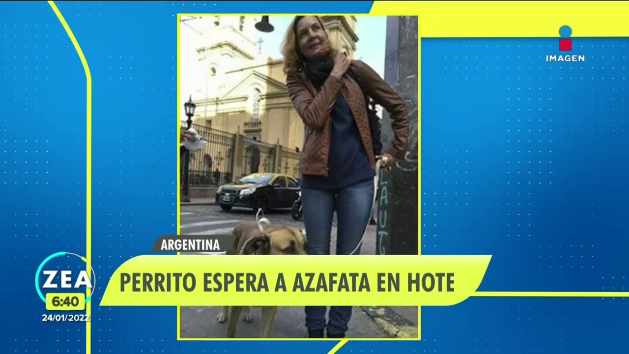 Azafata adopta a perro que siempre la esperaba afuera de un hotel | Noticias con Francisco Zea