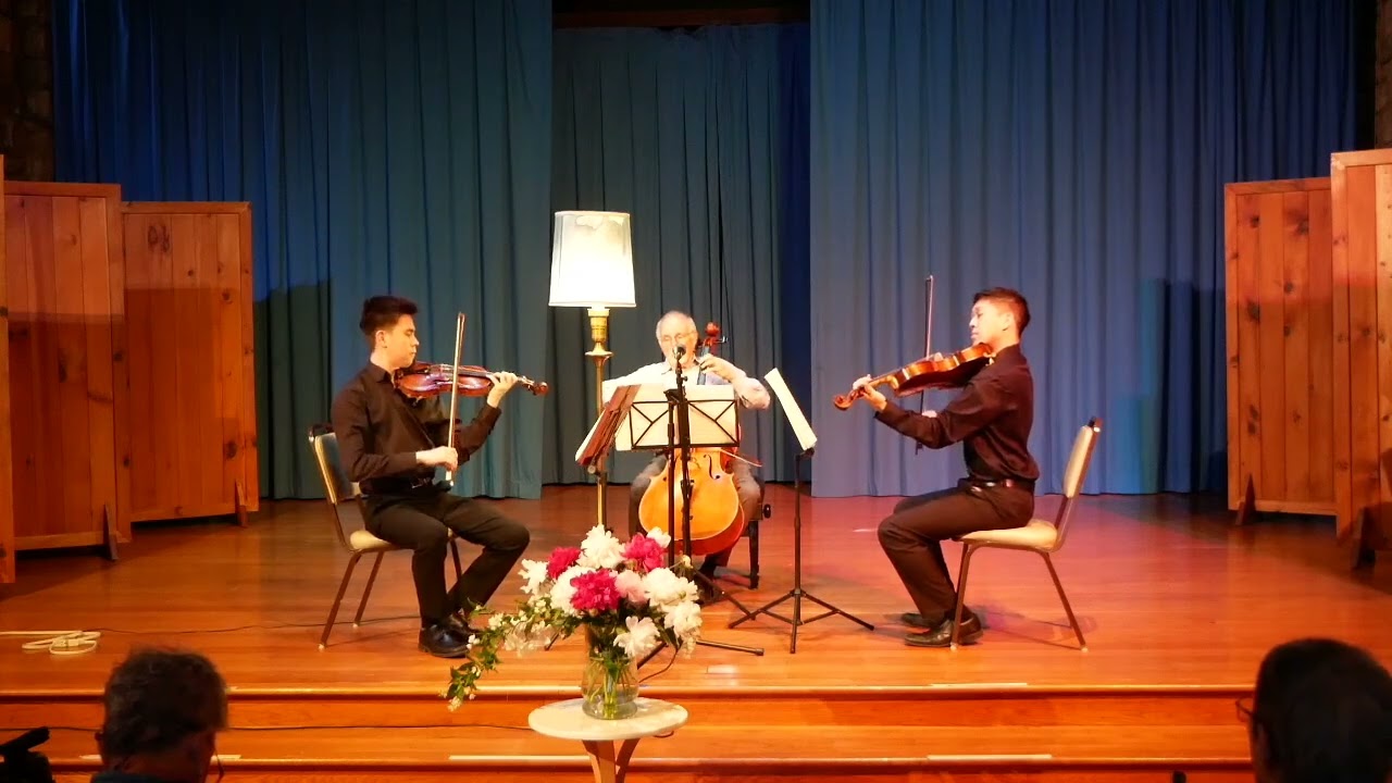 Trio in C minor, Opus 9 No. 3, Beethoven: Stohr-Tung-Martin Trio at Camphill Village Kimberton Hills