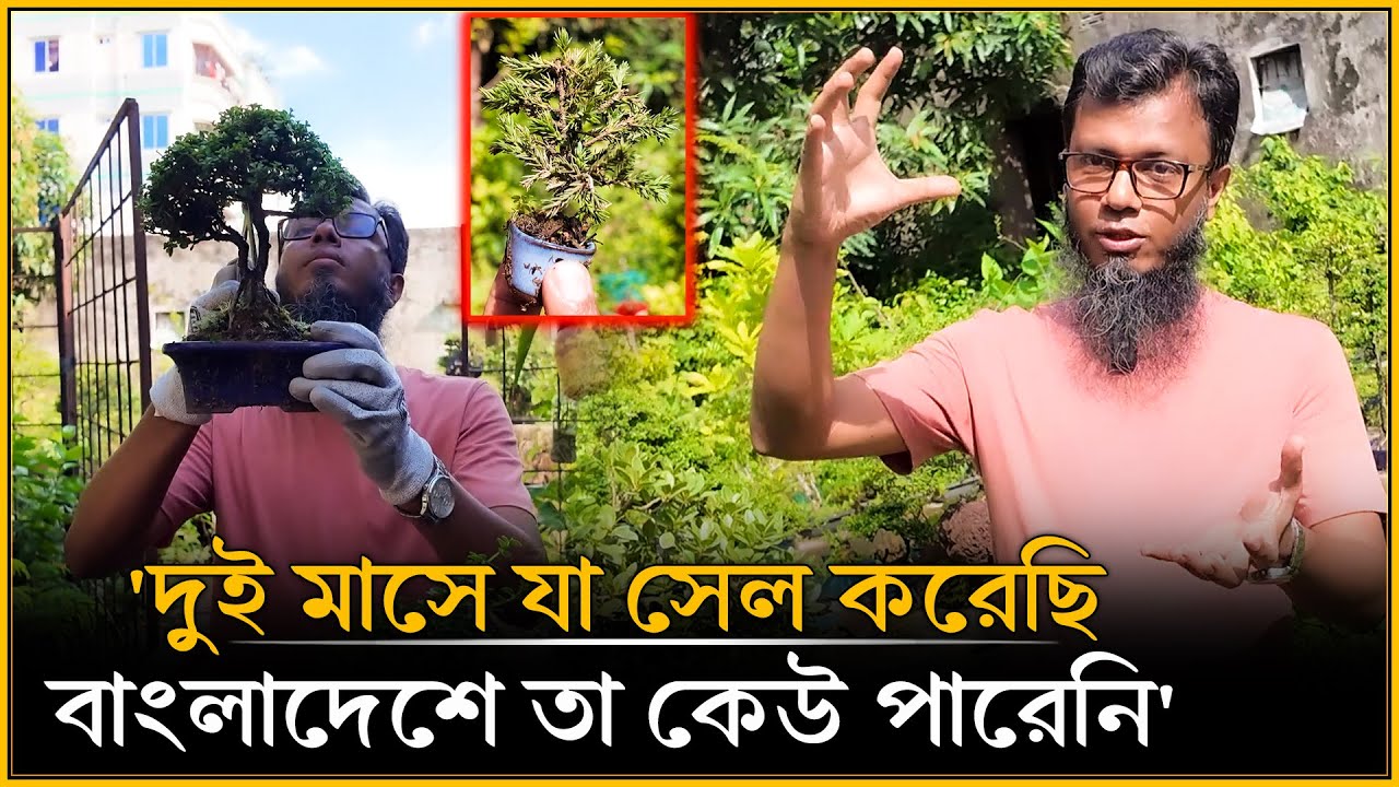এইটুকু গাছের দাম আড়াই লাখ? কি আছে এ গাছে? | চলতি