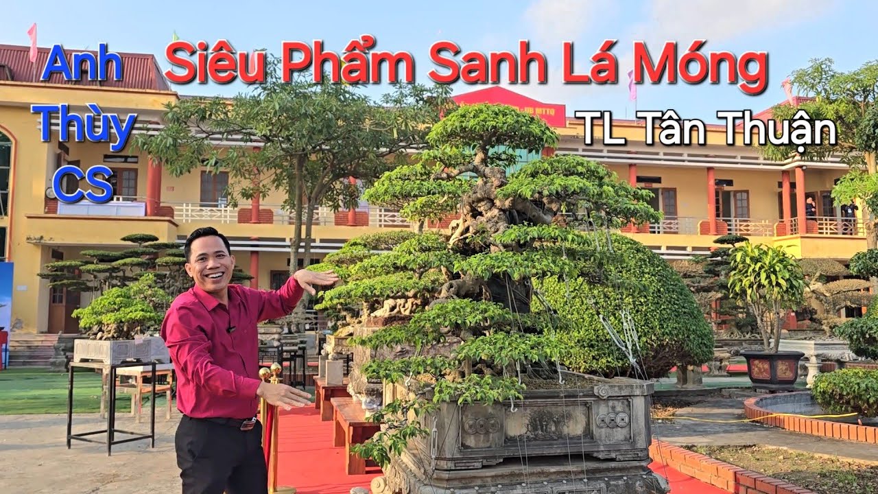 Anh THÙY CS bên SIÊU PHẨM CÂY HUYỀN * sanh lá móng * THAY ĐỔI 180° sau hơn 1 năm tại TL TÂN THUẬN .