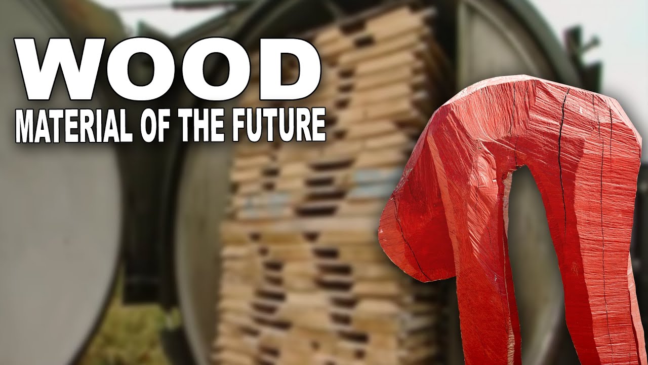 Wood: Material of the Future || Holzfachschule Bad Wildungen