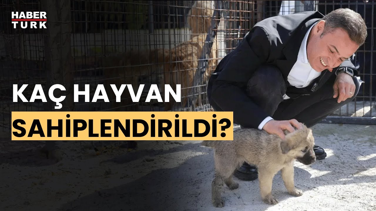 Balıkesir'de sahiplendirme kampanyası. Balıkesir Belediye Başkanı Ahmet Akın anlattı