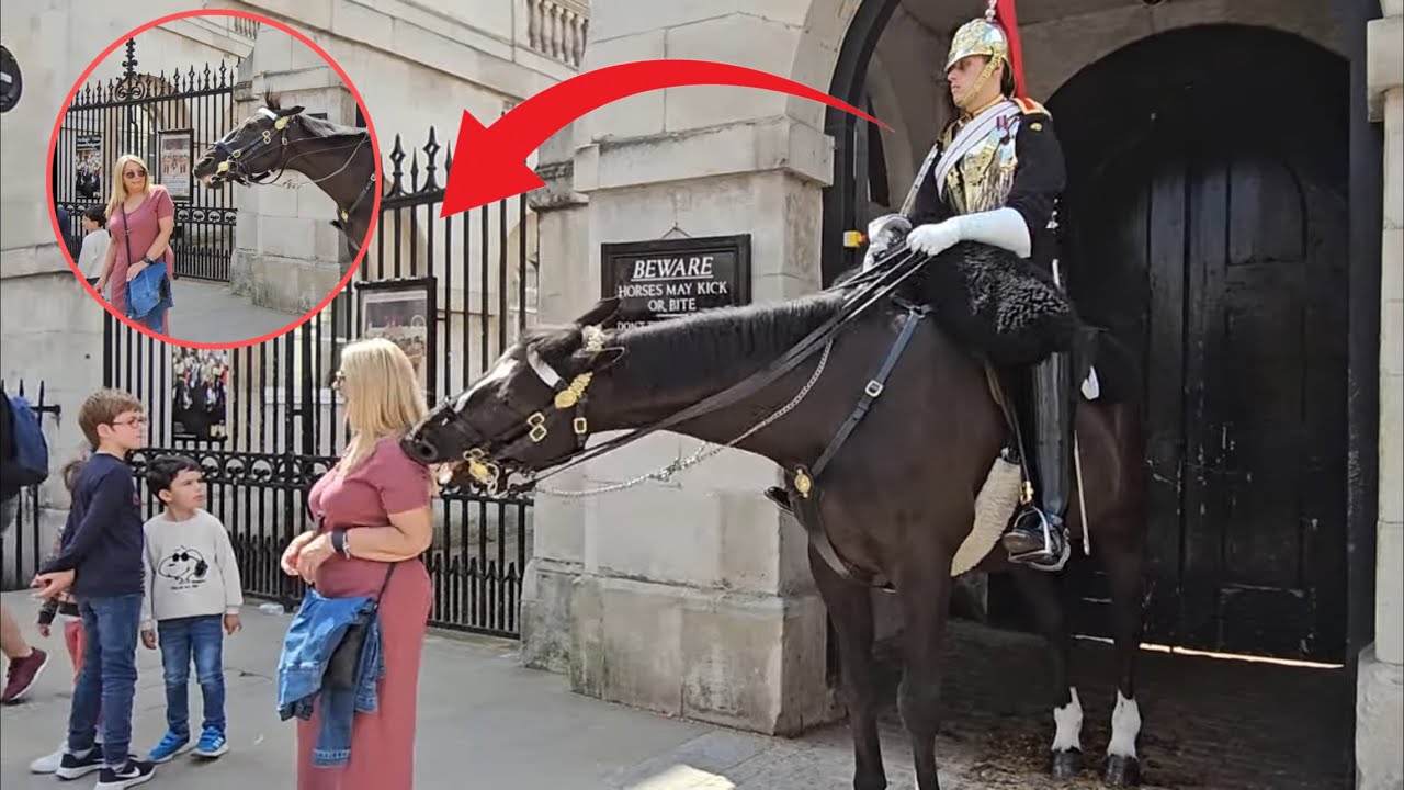 Everyone Gets Shocked when Kings Horse Strikes this Tourist