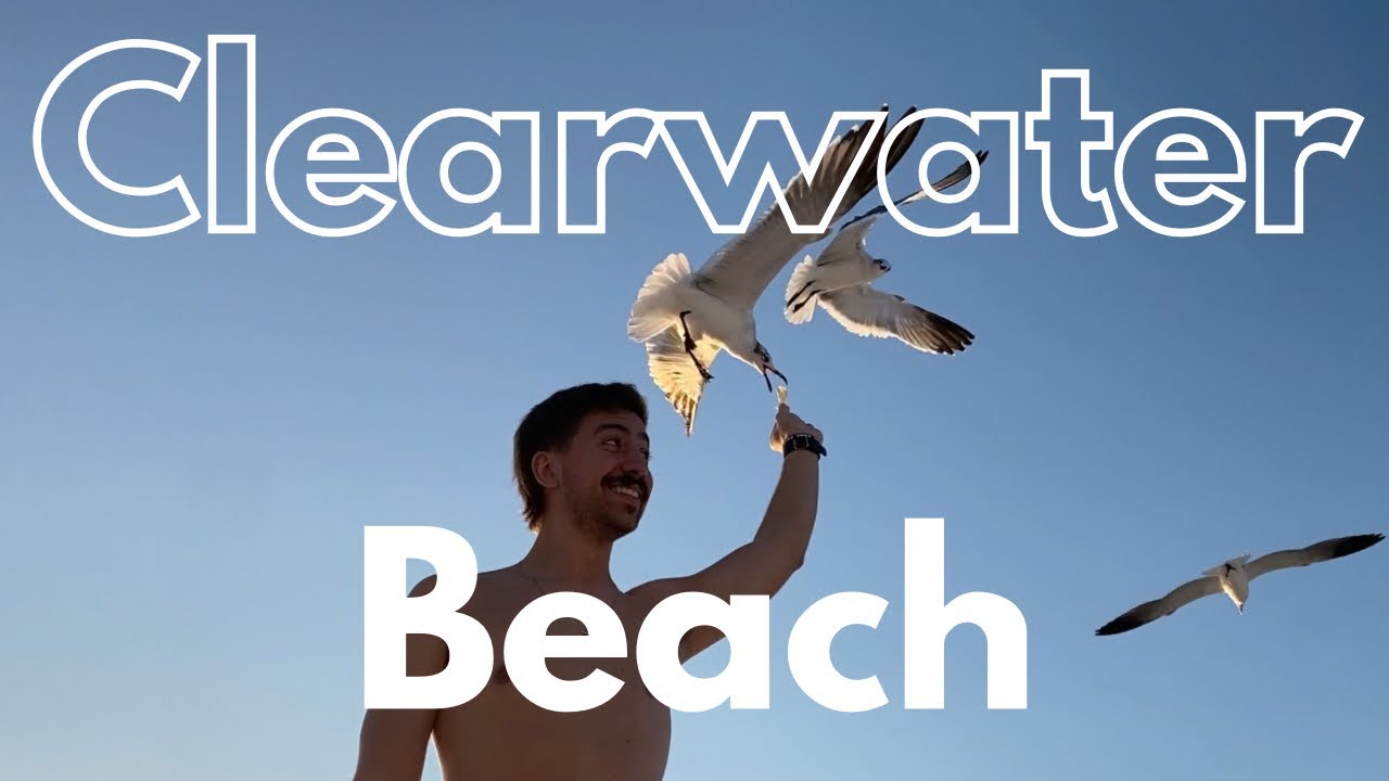Conheça CLEARWATER BEACH na Flórida!