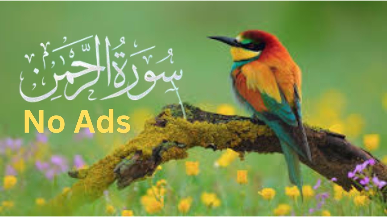 Surah Ar-Rahman (The Most Merciful) – Beautiful Qur’an Recitation | No Ads