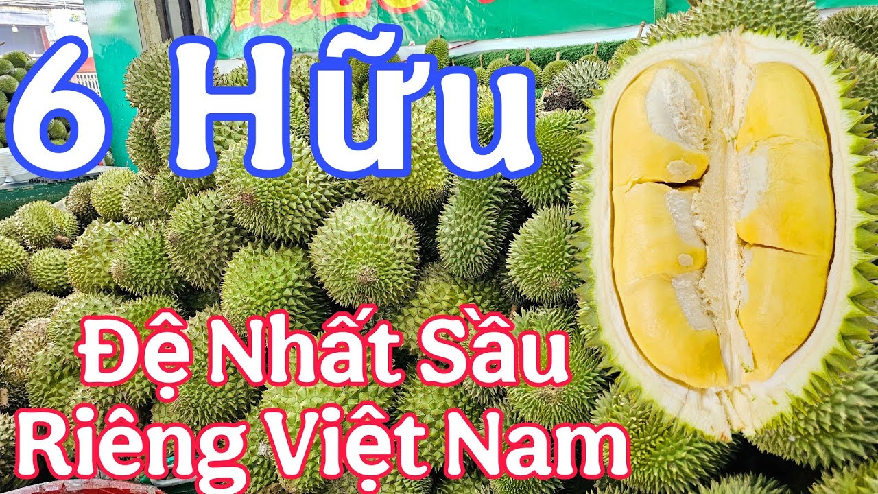 Sầu Riêng Musang King Hết Mùa Đệ Nhất Sầu Riêng Việt Nam 6 Hữu Lên Thay Làm Mưa Làm Gió.