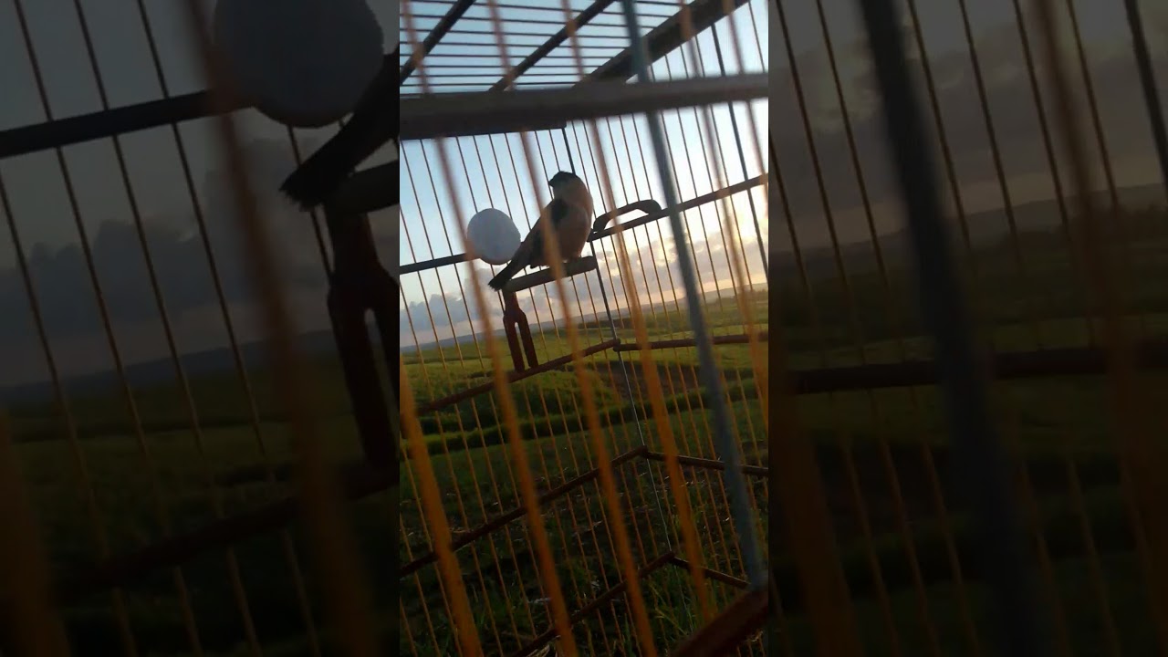 Caaporã PB