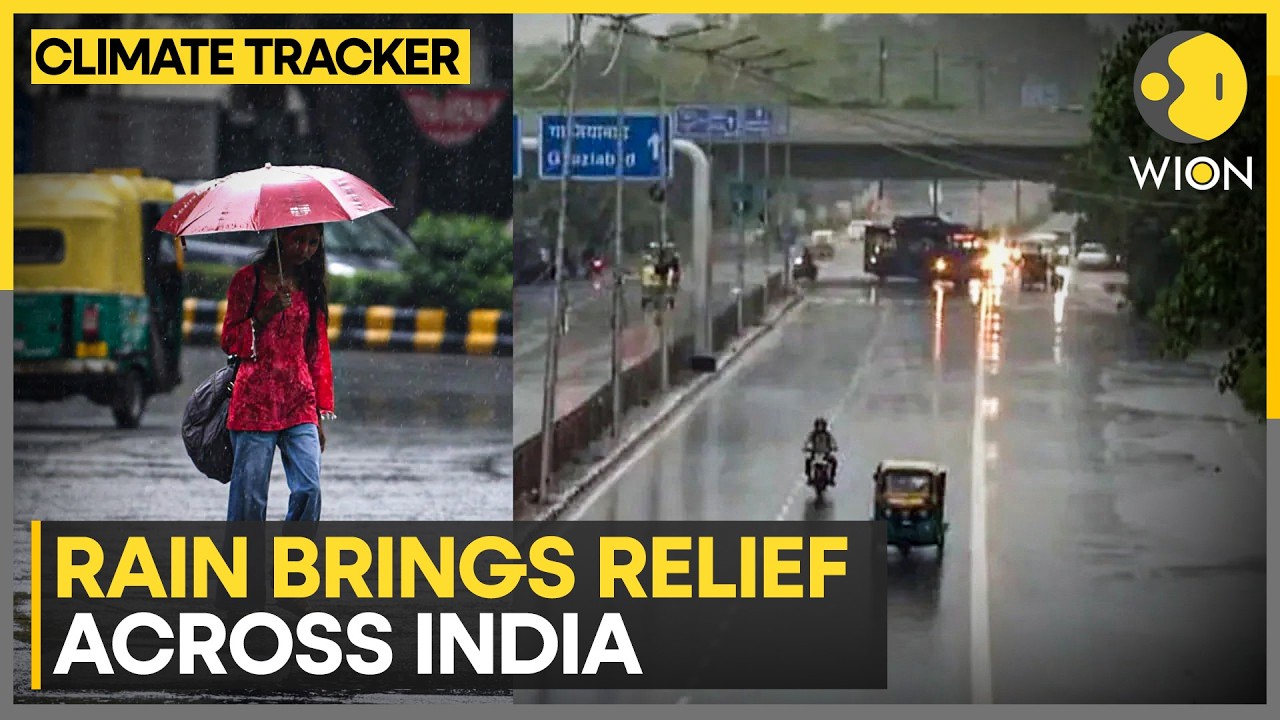 India Weather Alert: Extreme Weather Alert Issued In Delhi-NCR | WION Climate Tracker