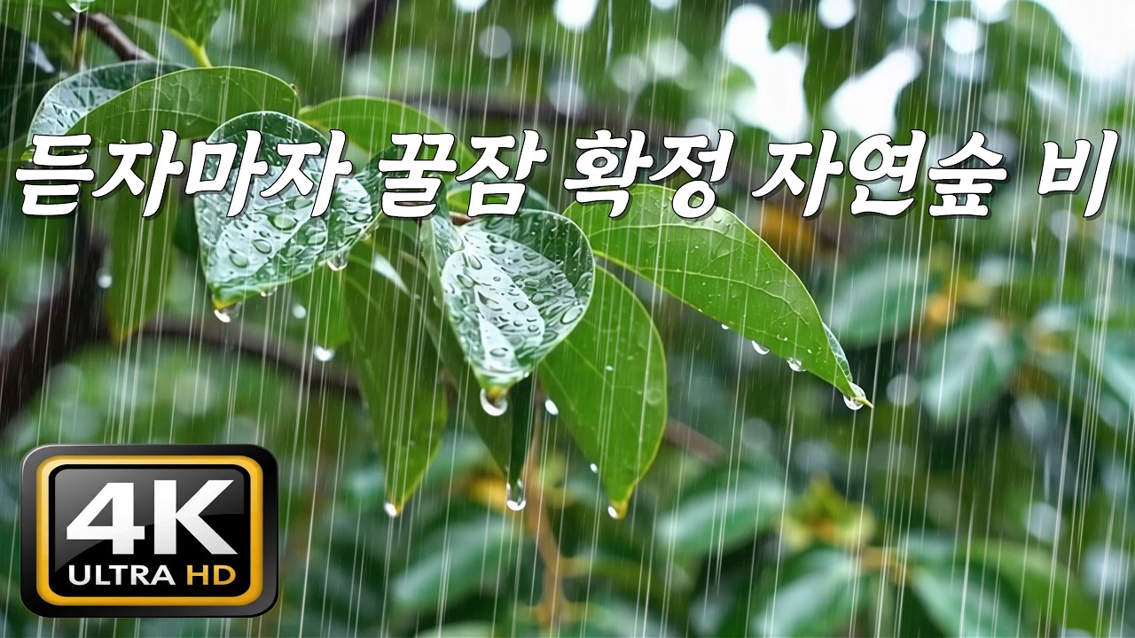 듣자마자 꿀잠 확정 자연숲 빗소리, [중간광고없음]10분후 검은화면, 오늘 밤 꿀잠 확정 💤 듣자마자 깊은 잠에 빠지는 자연숲 빗소리 (7시간), 🌳자연숲 백색소음 ASMR