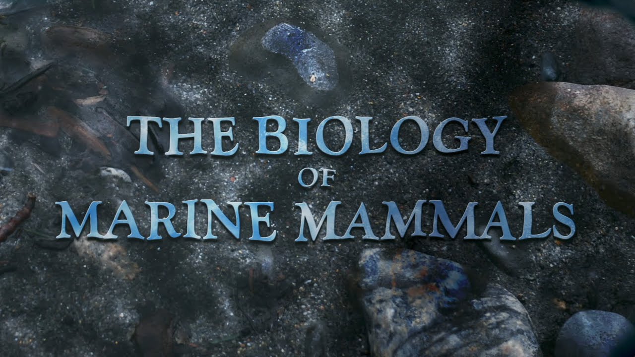 The Biology of Marine Mammals: Lecture 1