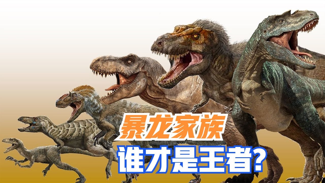 盘点暴龙家族成员，中生代残暴肉食恐龙，谁才是王者？【马丁新视界】