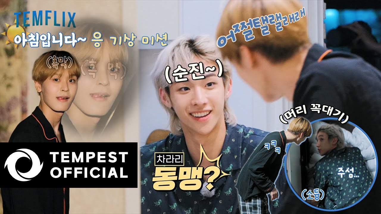 [TEMFLIX] EP 05. (경) 1박 2일 MT (축)｜안녕하세요 도둑입니다. 여름이었다.