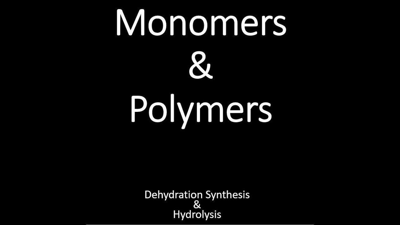 Monomers, Polymers & Dehydration Synthesis , Hydrolysis