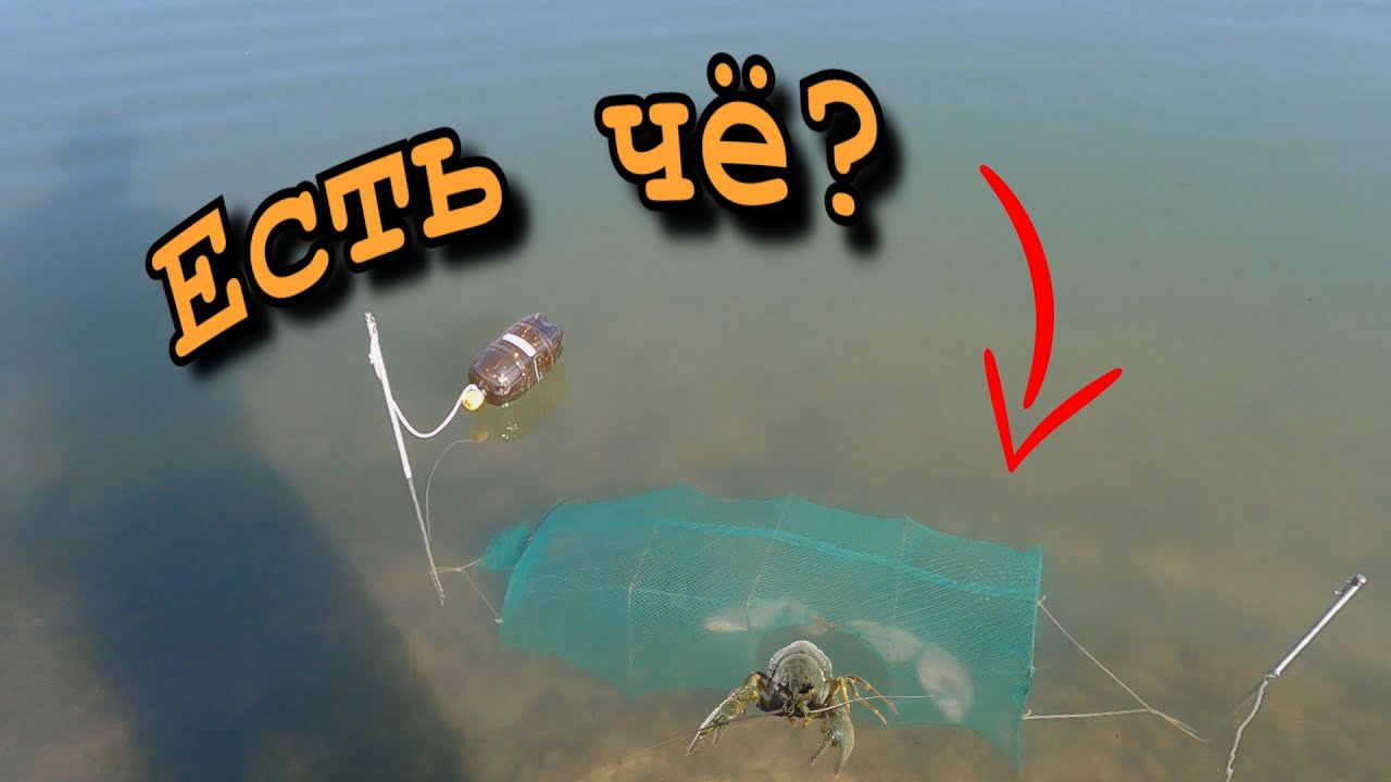 ЛОВЛЯ рыбы КАТИСКОЙ 🐟 РАК на ПОДЛЕЩИКА 🦞