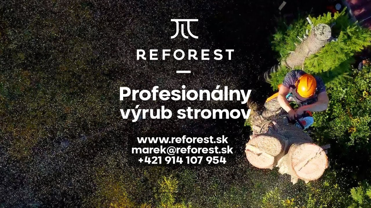 Reforest.sk - Profesion&aacute;lny v&yacute;rub stromov