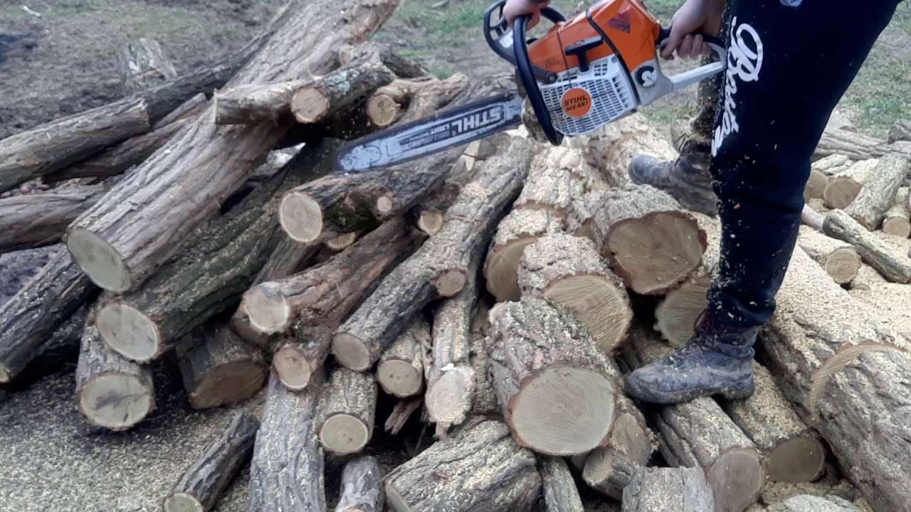 Stihl 661 playing ...small wood