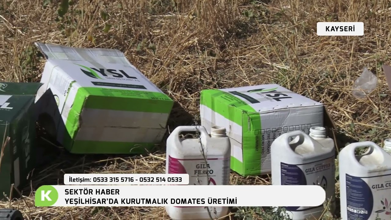 SEKTÖR HABER | YEŞİLHİSAR'DA KURUTMALIK DOMATES ÜRETİMİ
