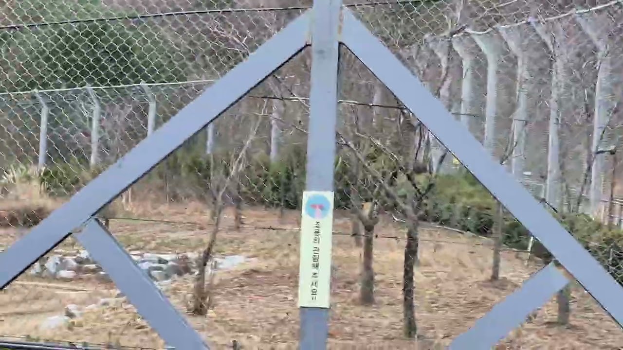 백두산 호랑이(2편) ,    작은거 같아    1편엔 달린것 같은데,     여자인가 ?      1. 2편 잘보면 누가 왕인지 ?
