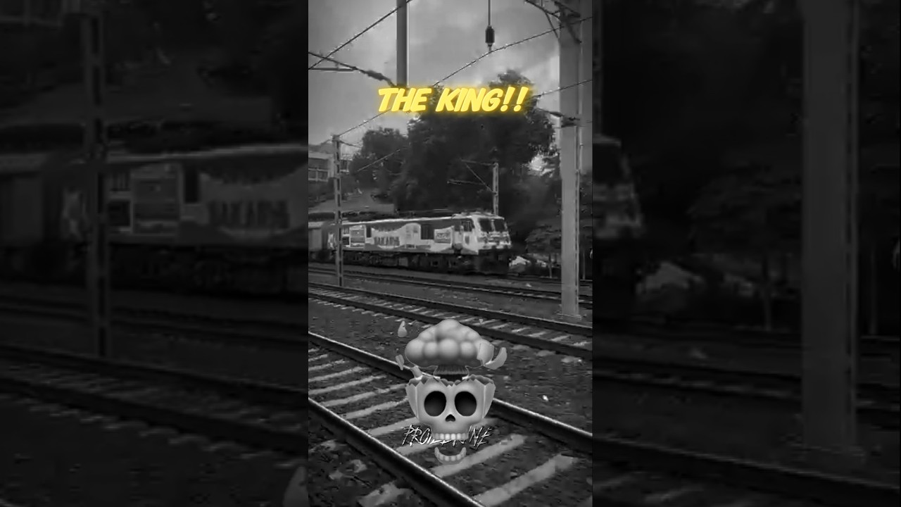 The *KING* 👑💀 ll #WAP7 #WAP4
