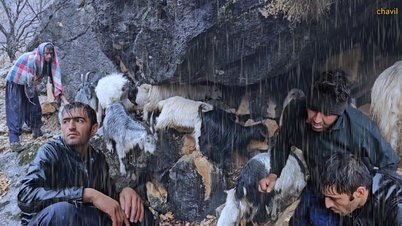 🐐🌧️ Disaster in Chavil Mountains! Ali & Mohammad Battle the Storm with Homeless Goats 🐐💔
