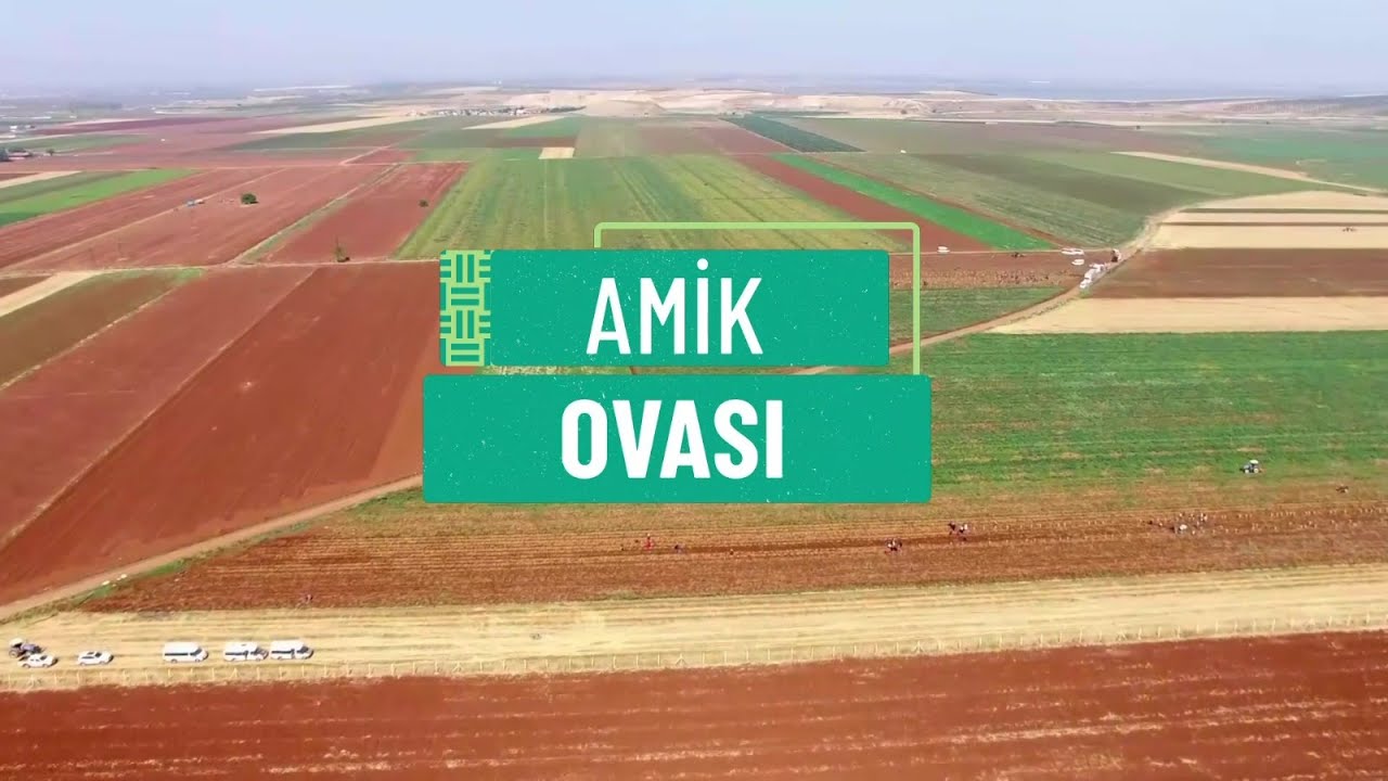 AMİK OVASI