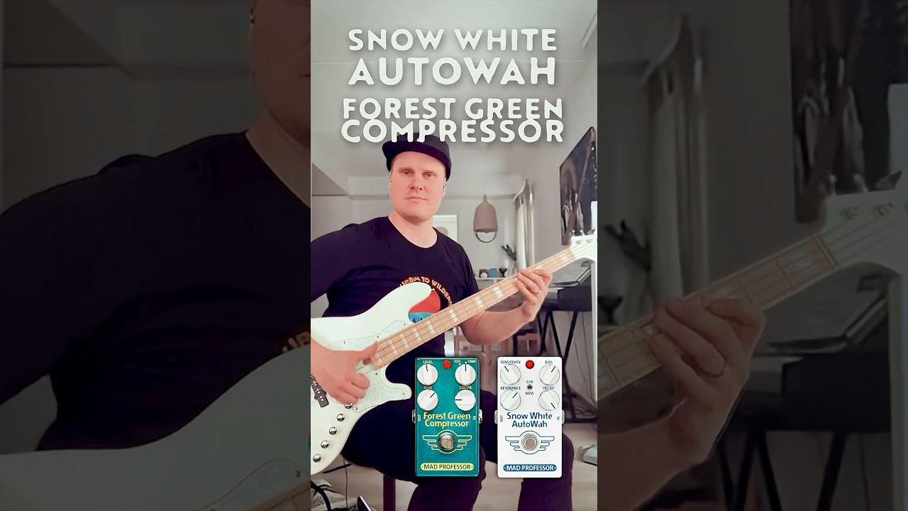 Mad Professor Snow white Auto Wah Bass Demo Slap #madprofessor #slapbass #funkybass #basspedals