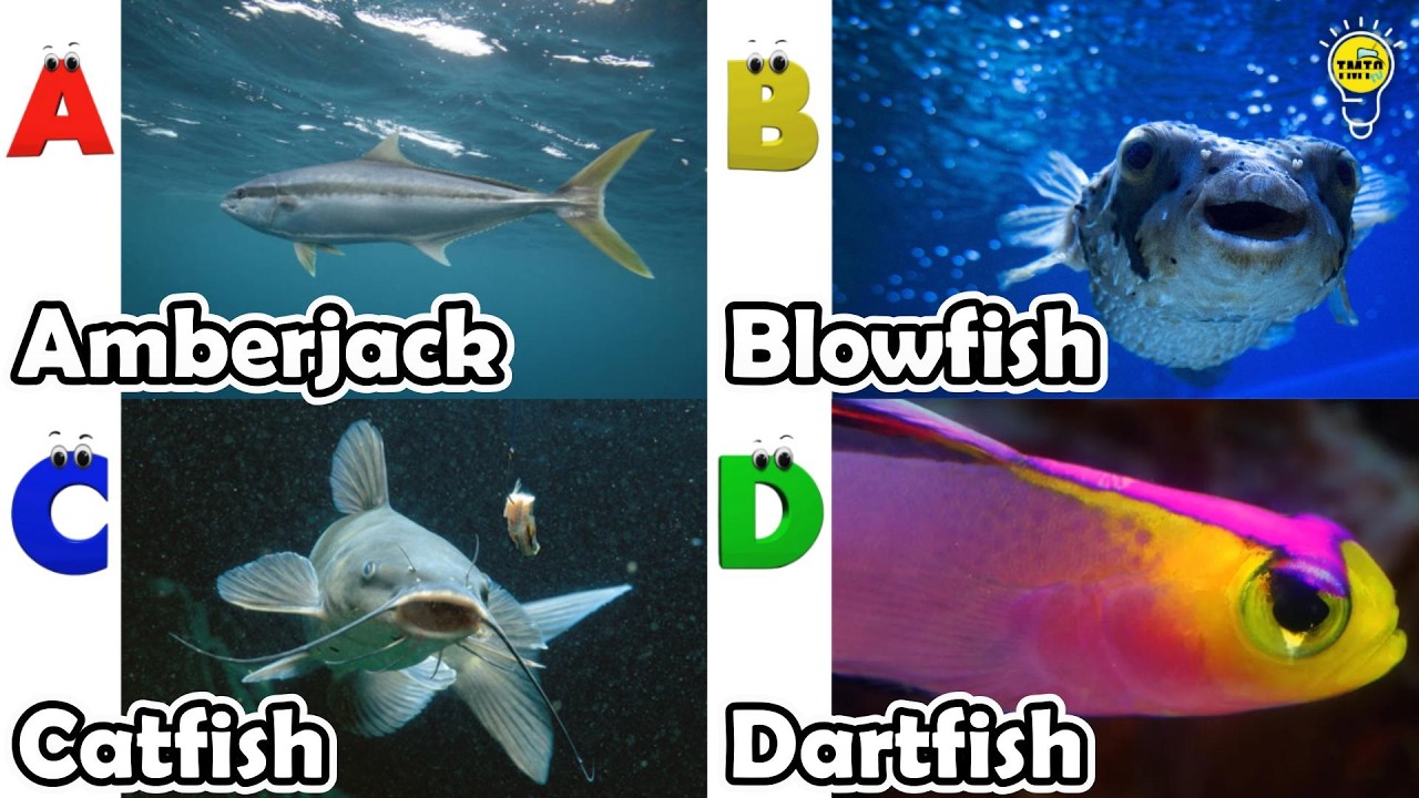 Sea animals for kids | ABC phonics animals | ABC Sea Animals song | English and Animals for Kids