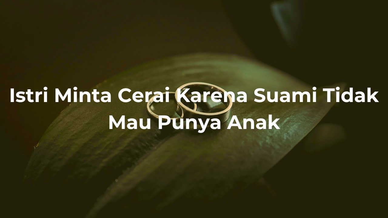 ASMR Husband Indonesia | Istri Minta Cerai Karena Suami Tidak Mau Punya Anak