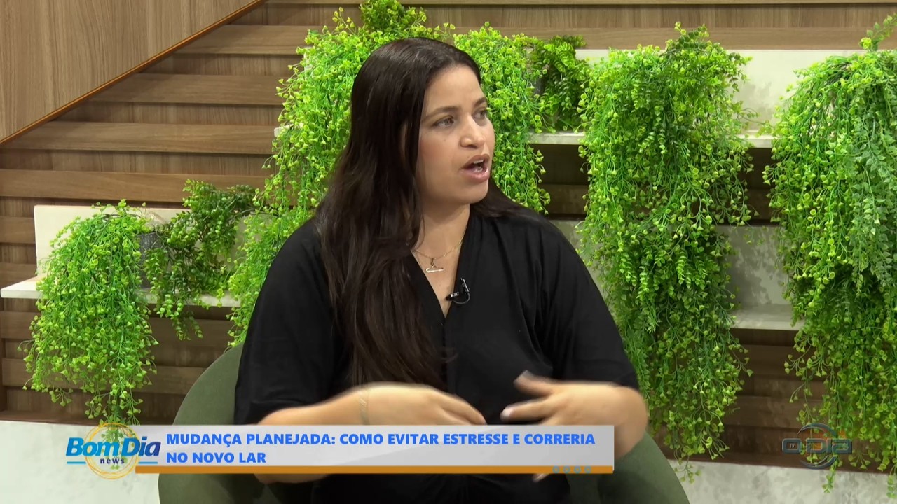 Mudança planejada: Como evitar estresse e correria no novo lar 26 02 2026