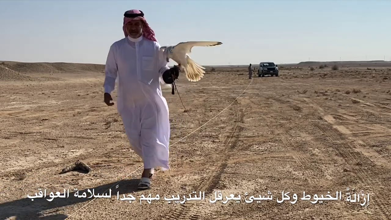 (   نَادْرَةْ الرَاكْدَةْ  ٦   )
